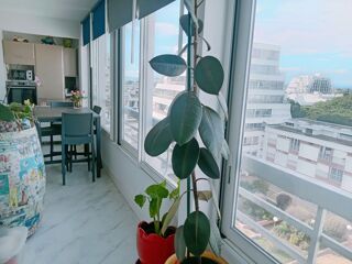  Appartement � vendre 2 pi�ces 60 m�