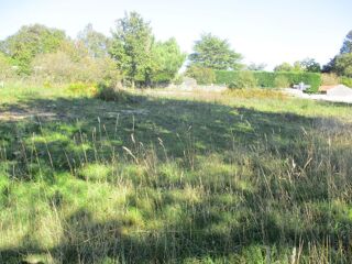  Terrain � vendre 1 pi�ce 709 m�