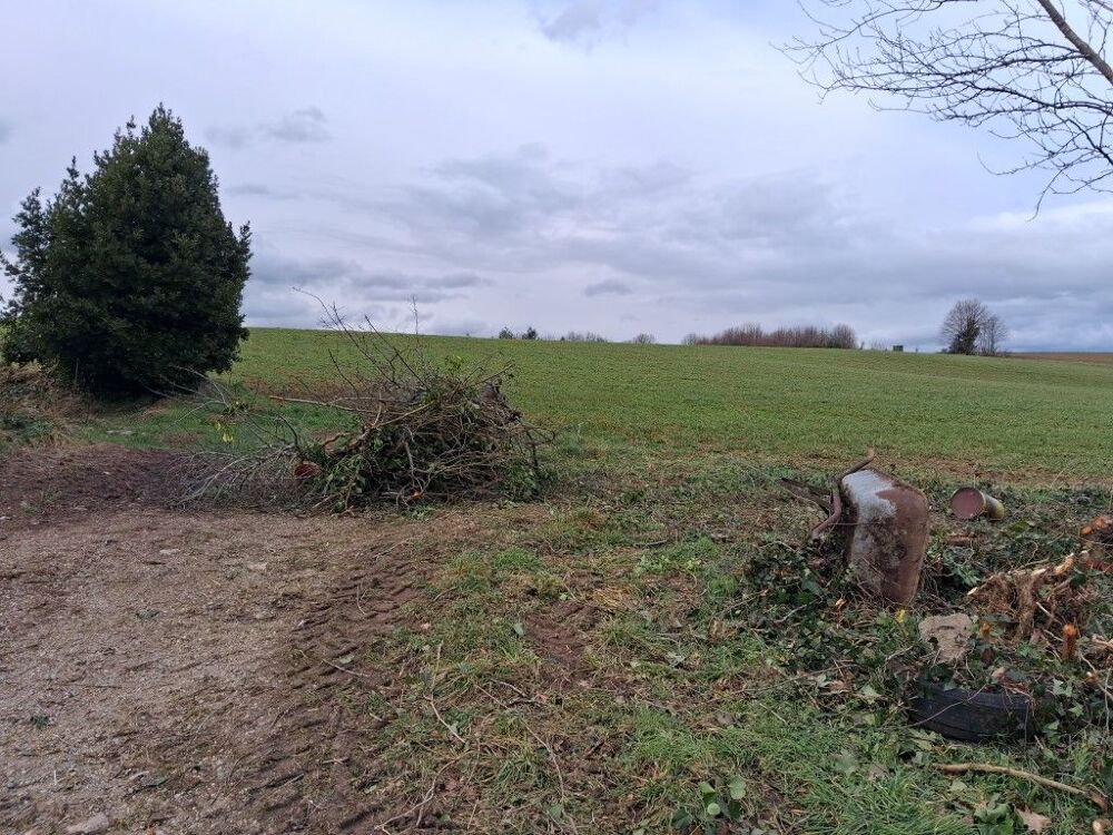 Vente Maison Maison Chateauneuf la foret