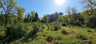  Terrain à vendre 1 pièce 263 m²