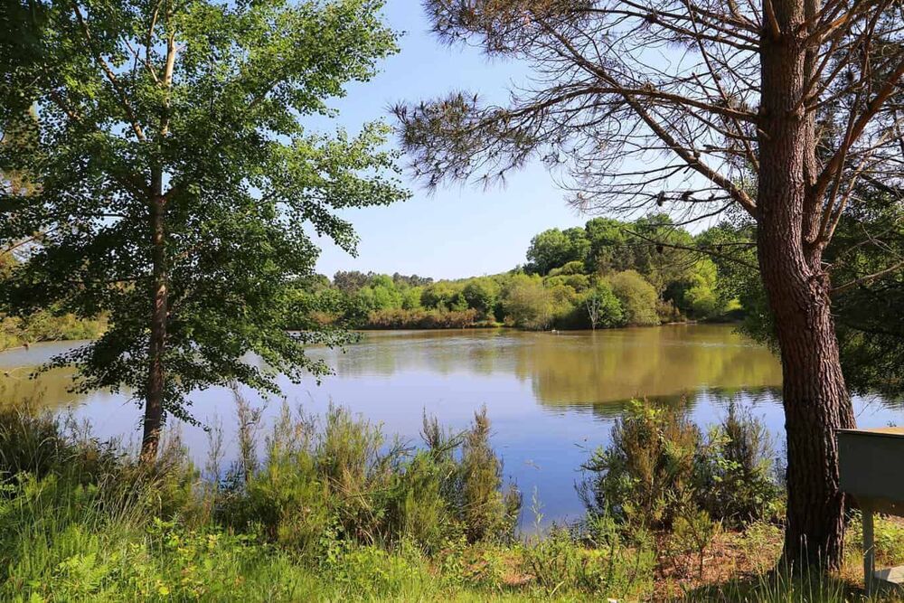 � vendre  Maison La Roche-Chalais (24490)