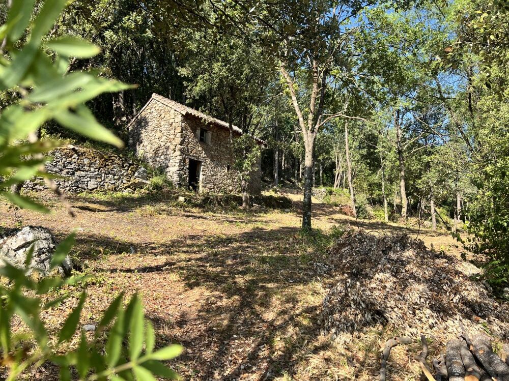 Vente Terrain Terrain non-constructible avec remise Olargues