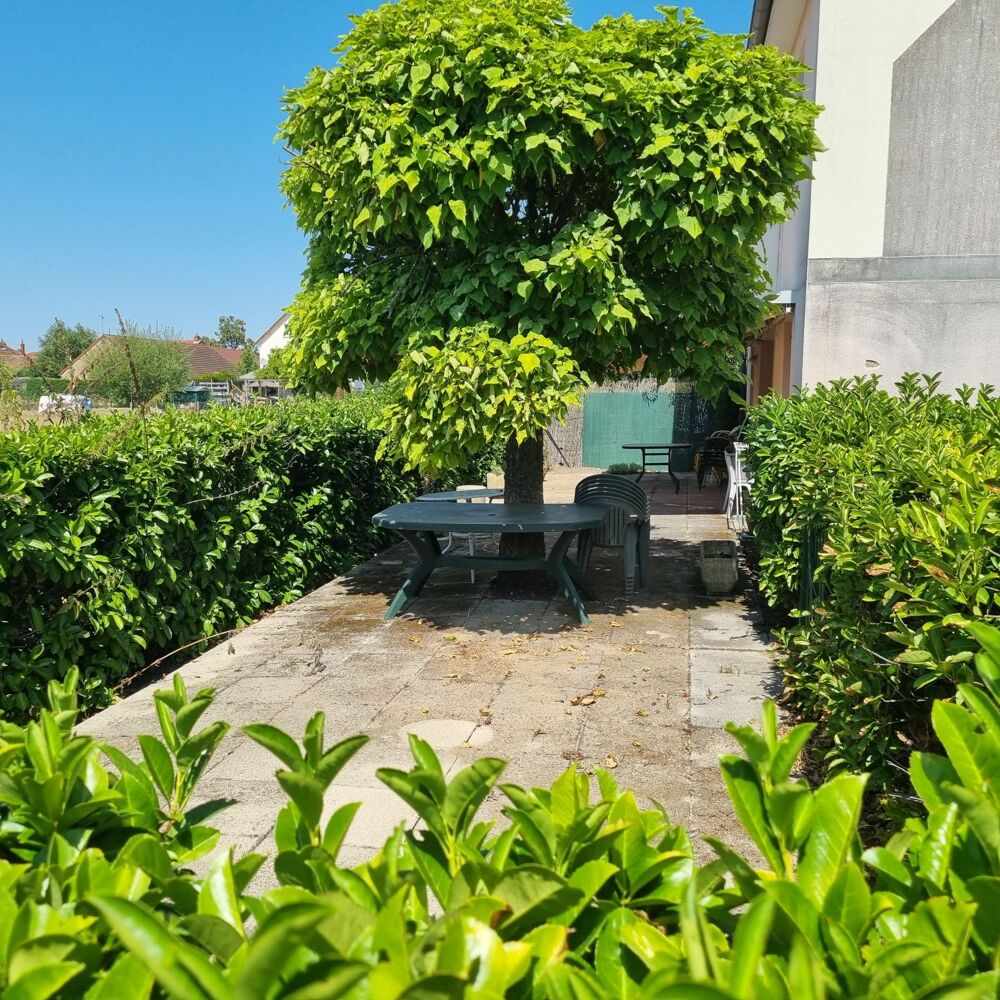 Vente Appartement 2 Pièces Chalon sur saone