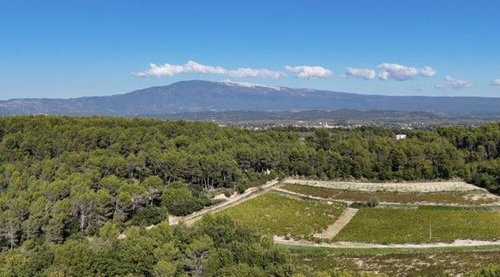 Villa parc de 25000 m2