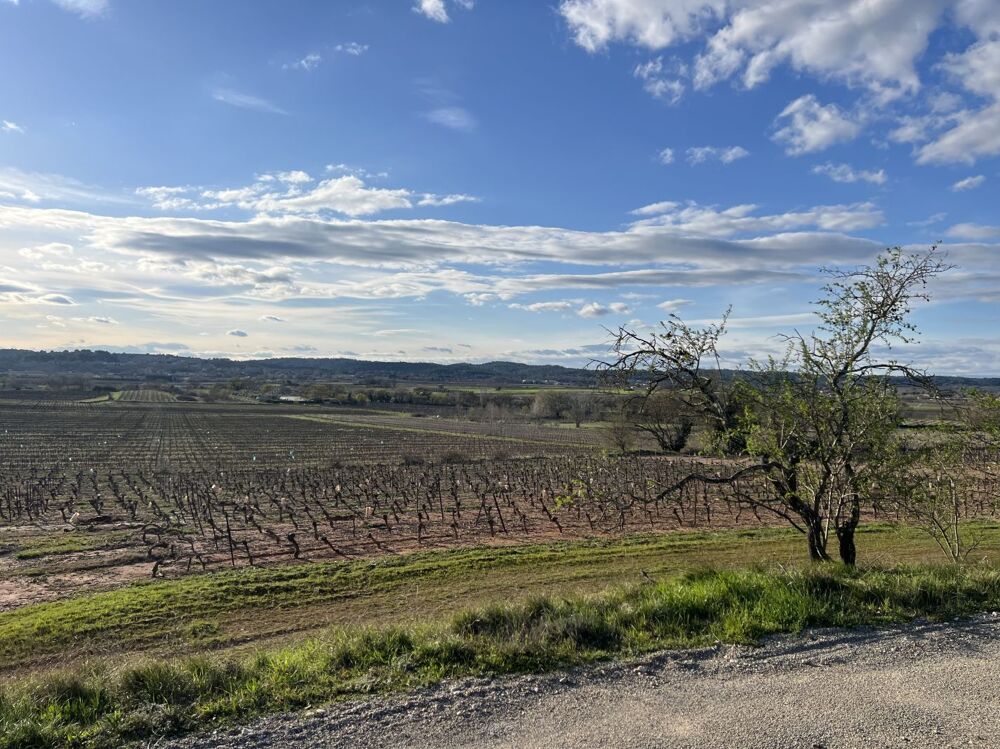 Vente Terrain 1 pièce 910 m² - Vue 3