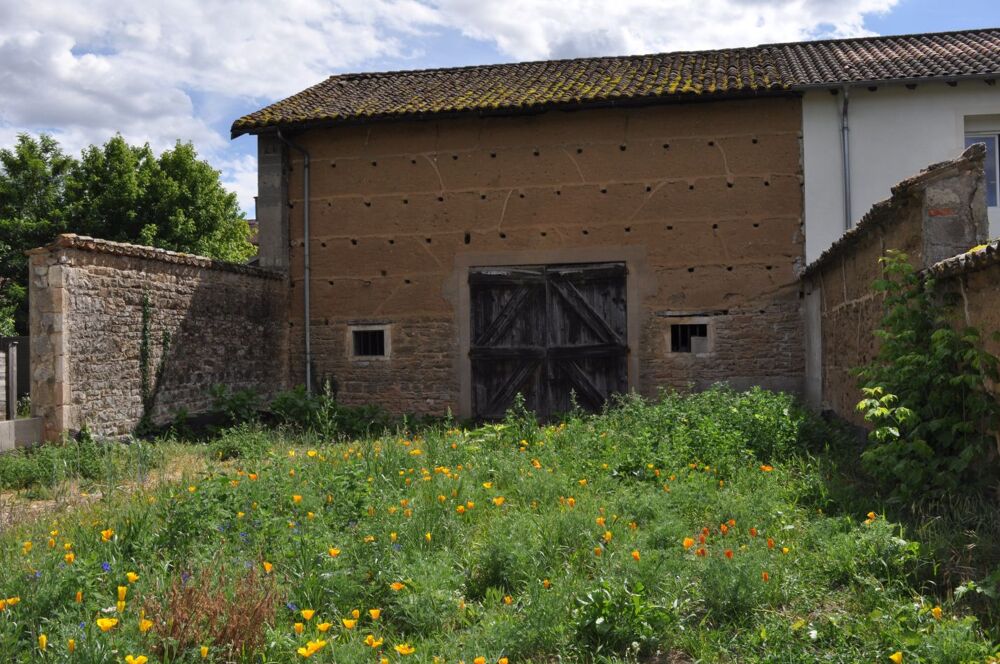 Vente Maison Maison Grange à aménager Montmerle sur saone