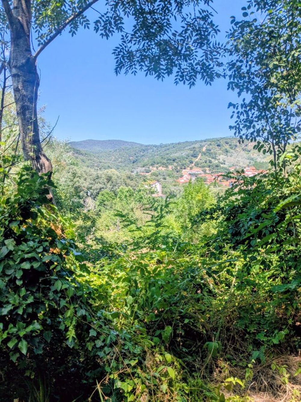 Vente Maison Maison avec piscine, beau jardin et belle Reynes