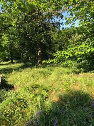  Terrain � vendre 1 pi�ce 753 m�