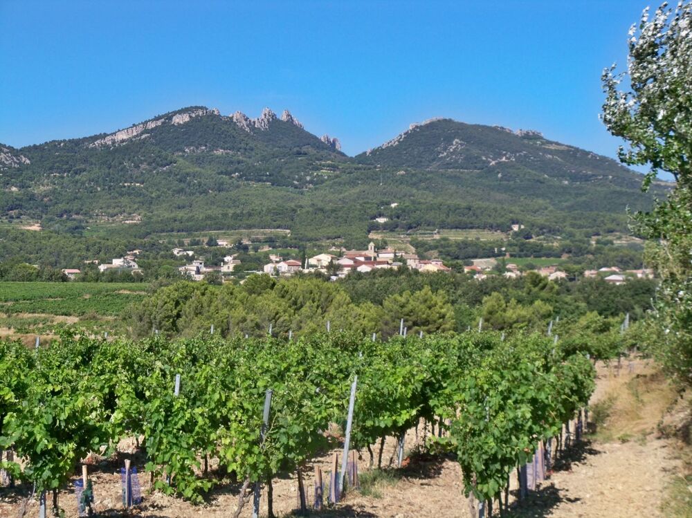 Vente Terrain Terrain Constructible Vacqueyras