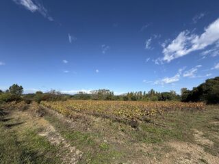  Terrain à vendre 1 pièce 306 m²