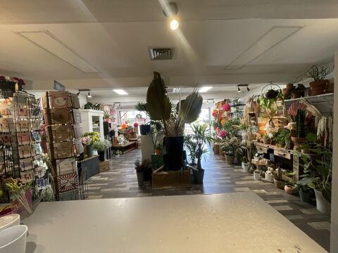   Local commercial 