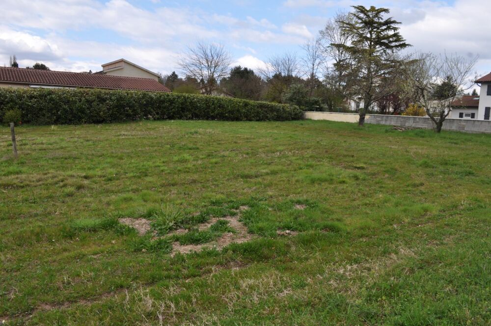 Vente Terrain Terrain constructible Montmerle sur saone