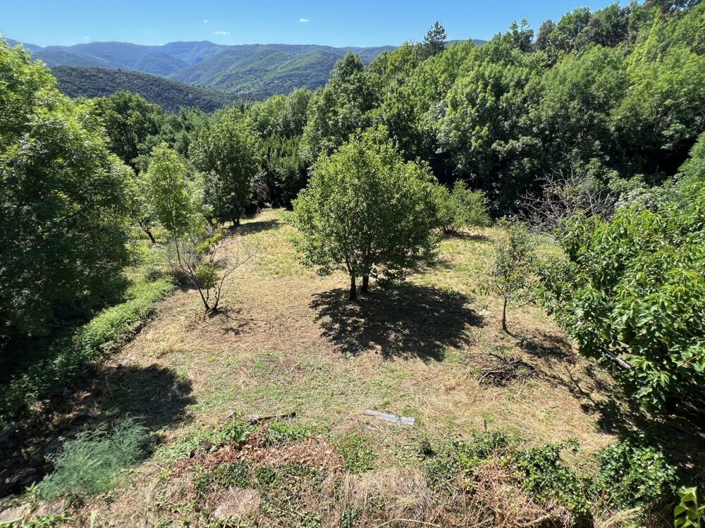 Vente Maison Maison de village avec d�pendances et terrain Saint vincent d'olargues