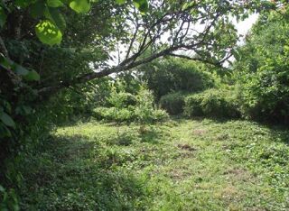  Maison � vendre 1 pi�ce 