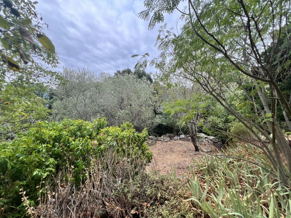 Vente Maison Maison de village avec terrain Saint martin de l'arcon