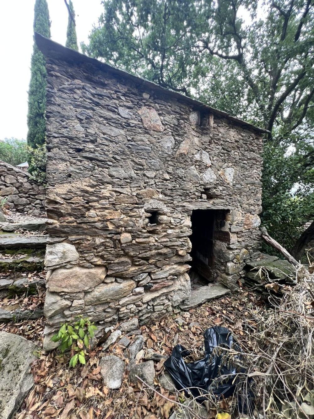 Vente Maison Maison de village avec terrain Saint martin de l'arcon
