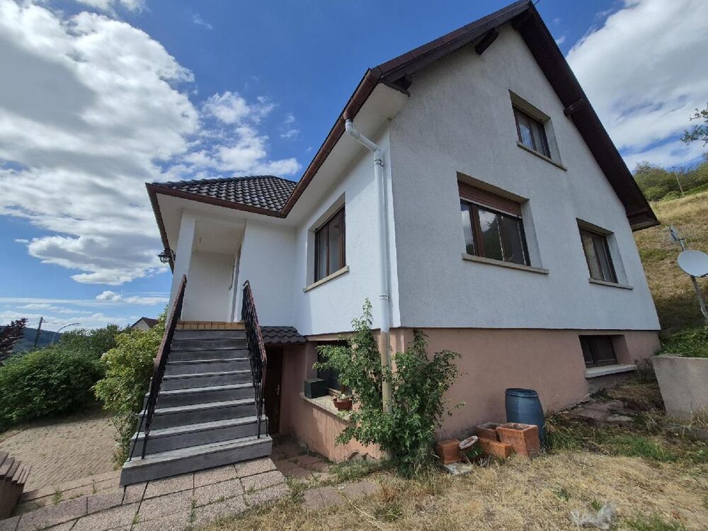 Vente Maison Maison Natzwiller
