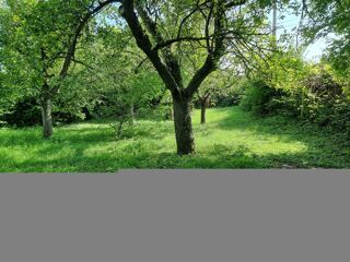  Terrain  vendre 1 pice 738 m