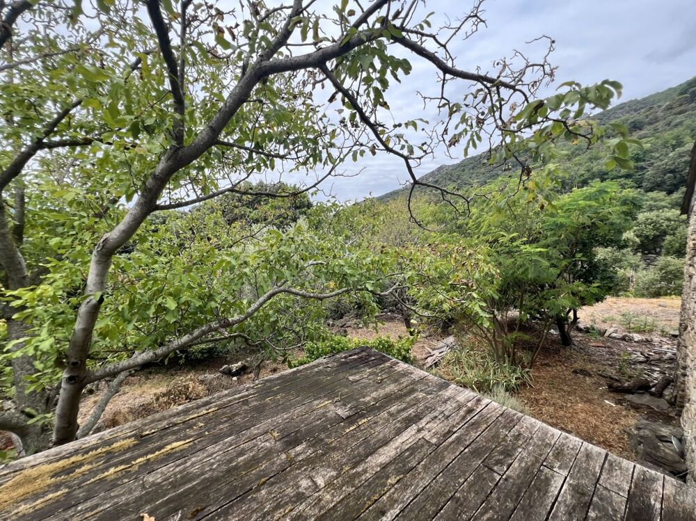 Vente Maison Maison de village avec terrain Saint martin de l'arcon