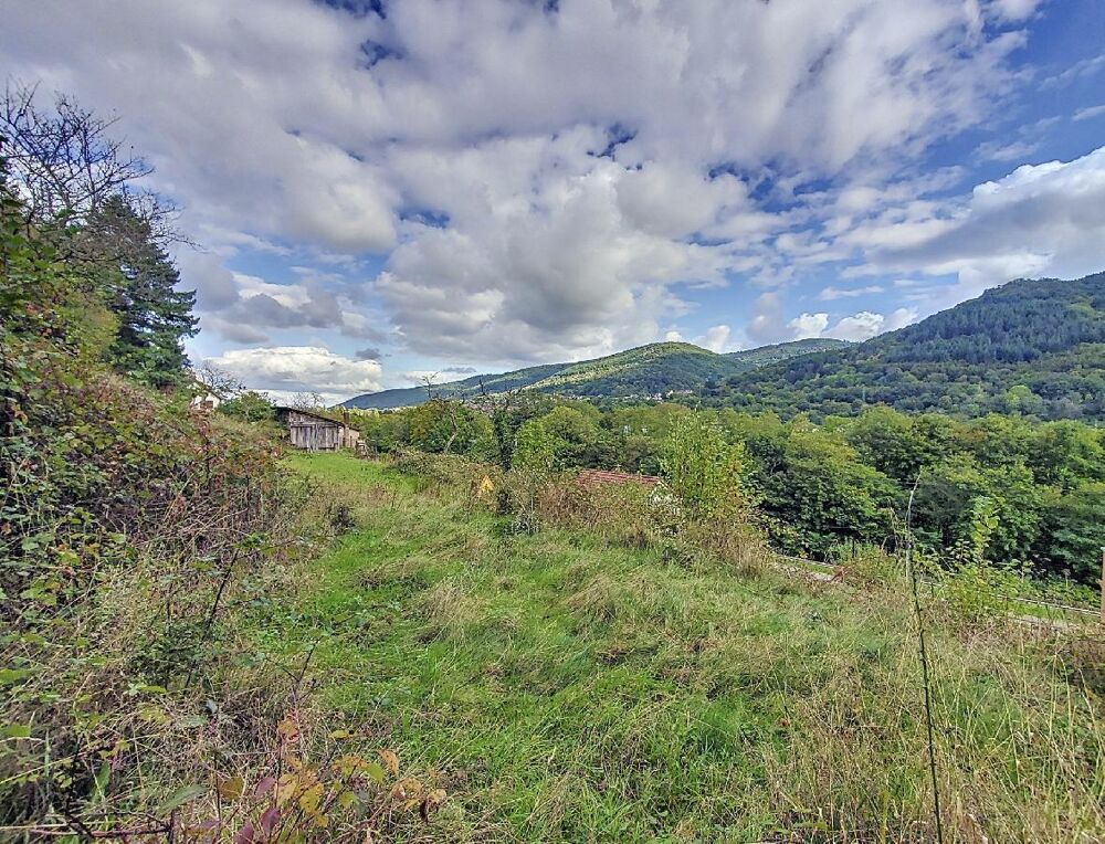Vente Terrain Terrain Wisches
