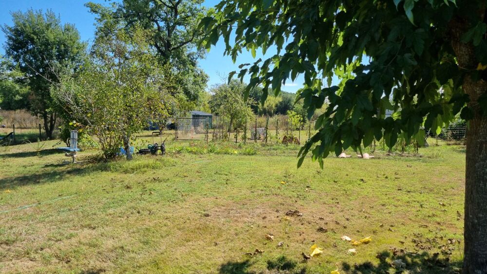 Vente Maison Maison Buzet sur tarn