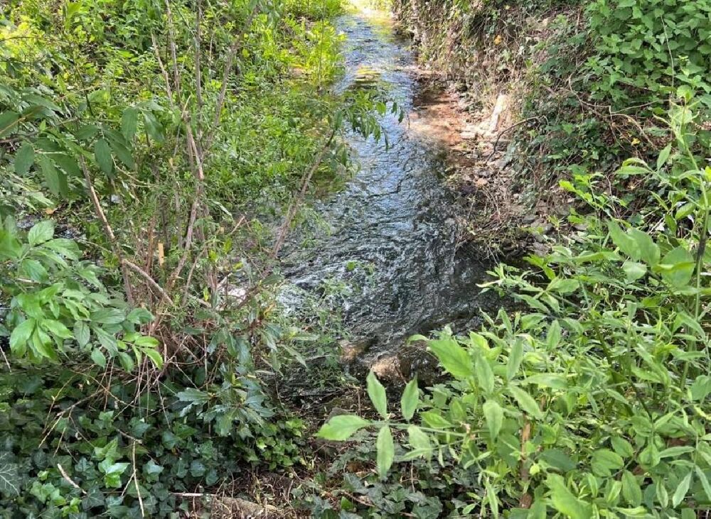 Vente Maison Maison Villefagnan