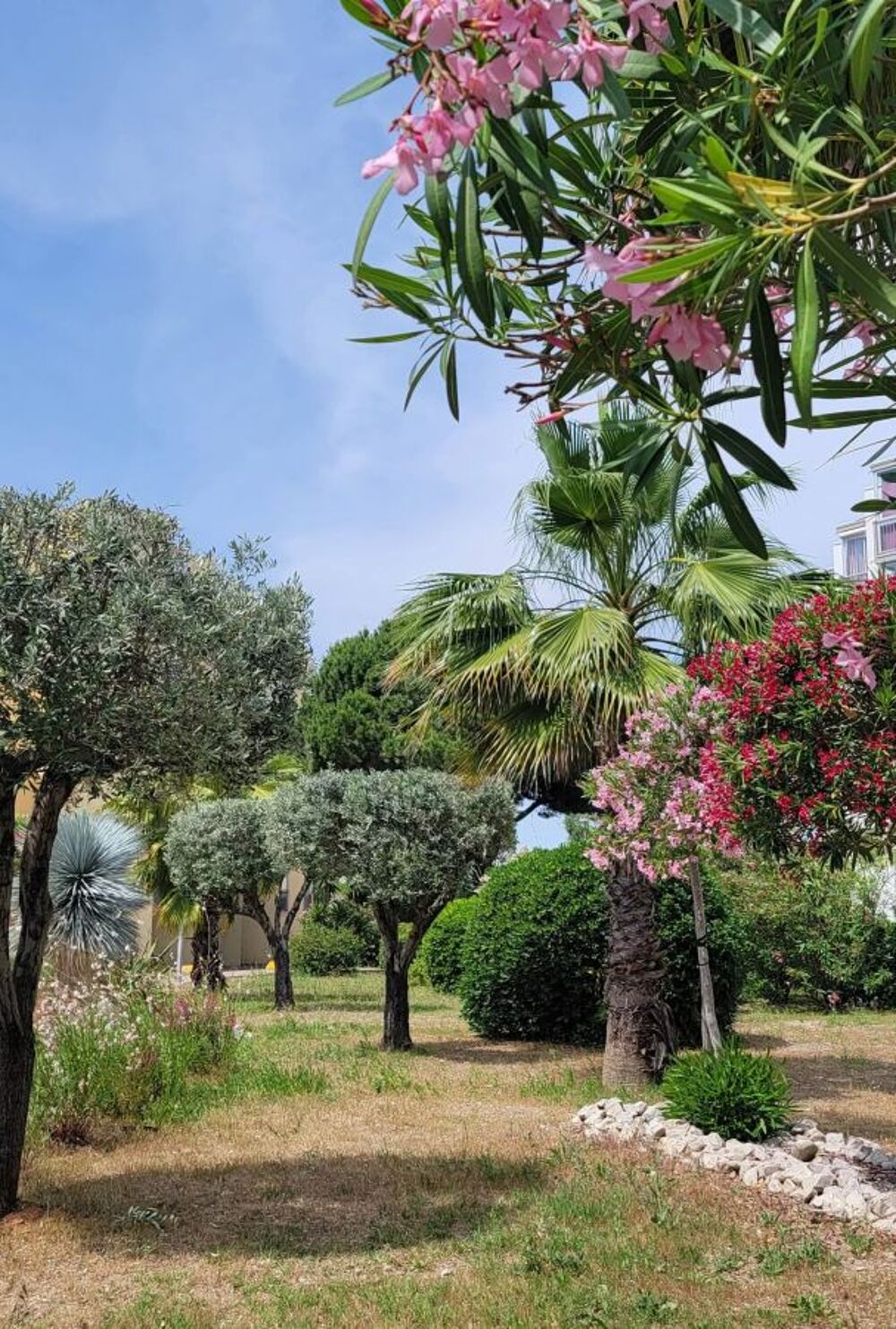 Location Appartement Studio Port Royal Le grau du roi