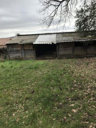  Terrain à vendre 1 pièce 1200 m²