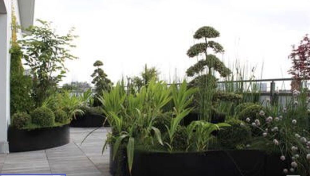 4 Pièces Attique-l'Horloge-grande- Terrasse