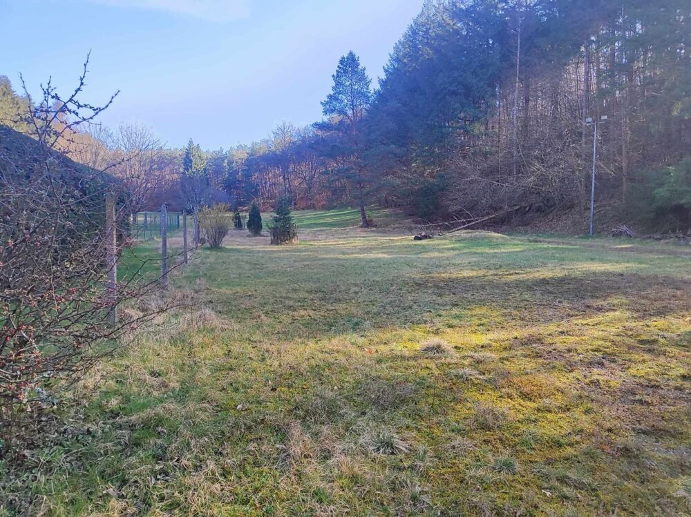 Vente Maison Maison Philippsbourg