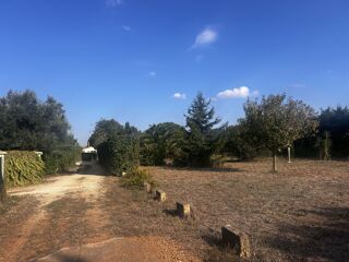  Terrain � vendre 1 pi�ce 812 m�