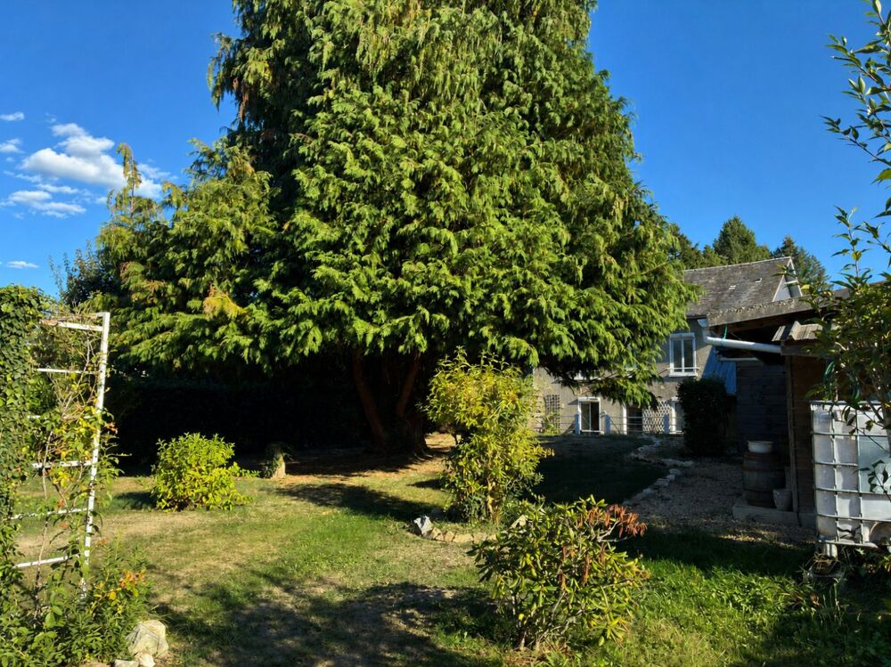 Vente Maison Maison Chateauneuf la foret