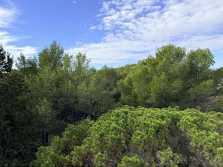 Location Appartement 3 Pièces Saint raphael