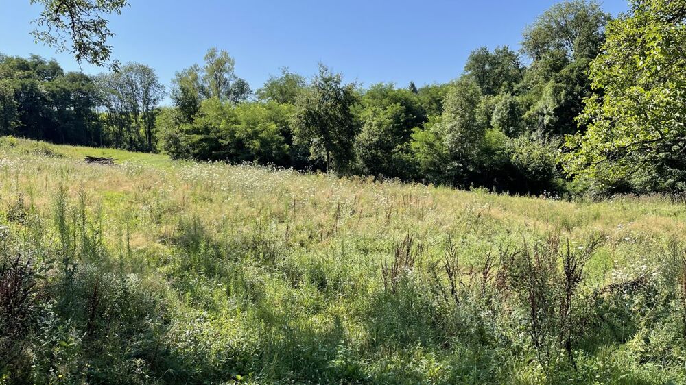 Vente Terrain Terrain non-constructible Thiers