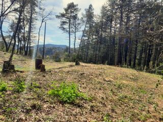  Terrain  vendre 1 pice 4100 m