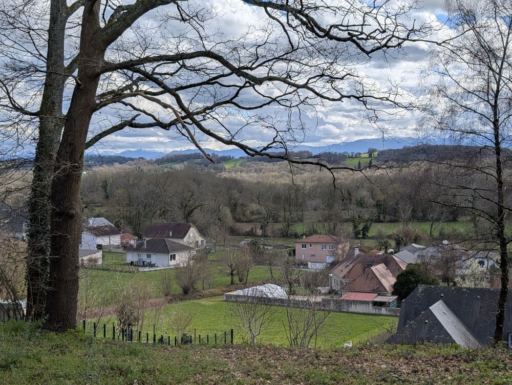 Vente Terrain Terrain Haut de Lee Lee