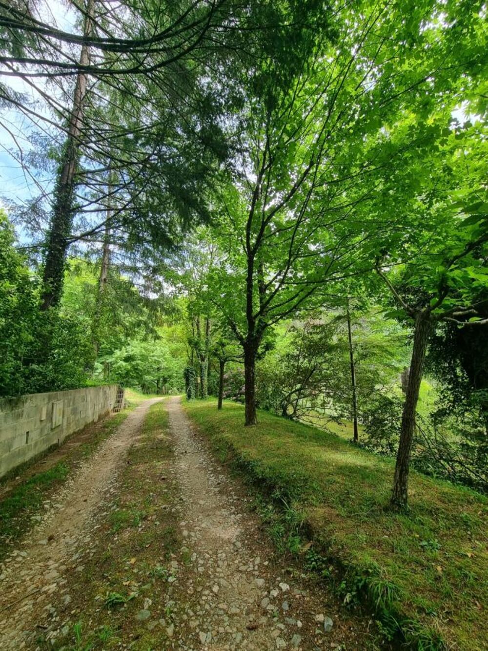 Vente Maison Maison demeure Cévenole au charme Saint etienne vallee francaise