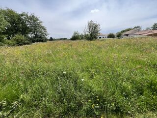  Terrain à vendre 1 pièce 4000 m²