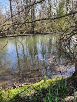  Maison � vendre 4 pi�ces 137 m�