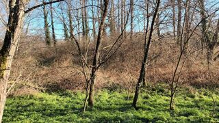  Terrain � vendre 1 pi�ce 5516 m�
