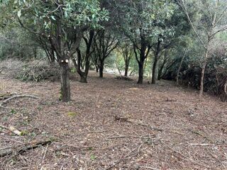  Terrain à vendre 1 pièce 9 m²