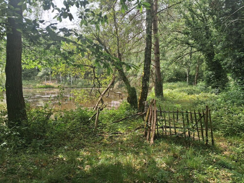 Vente Terrain Terrain non-constructible Rilhac lastours