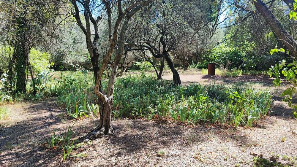 Vente Terrain Terrain constructible Nimes
