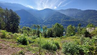  Terrain à vendre 1 pièce 771 m²