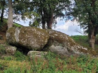  Maison � vendre 6 pi�ces 644 m�