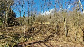  Terrain  vendre 1 pice 5250 m