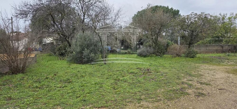 Vente Terrain Terrain Sorgues