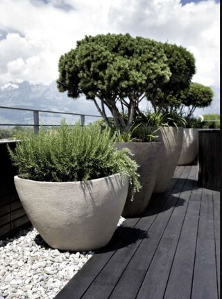  Appartement � vendre 4 pi�ces 122 m�