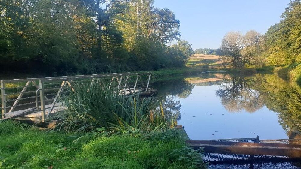 Vente Terrain Terrain Saint leonard de noblat