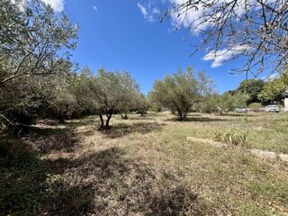  Terrain � vendre 1 pi�ce 1114 m�